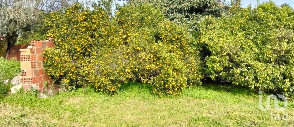 Terrain à bâtir à Alcobertas de 1 280 m²