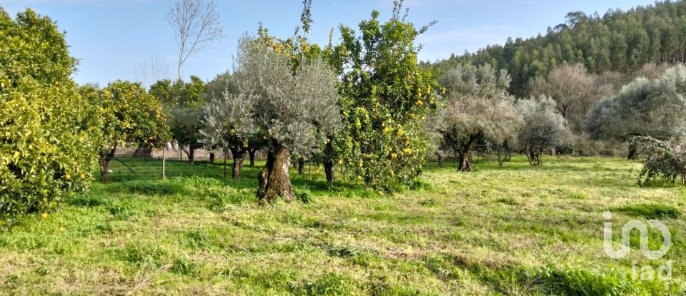 Terrain à bâtir à Alcobertas de 1 280 m²