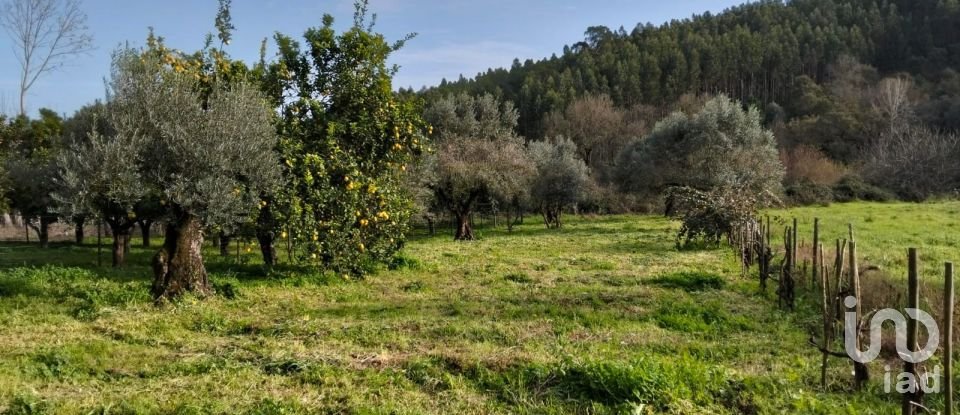 Terrain à bâtir à Alcobertas de 1 280 m²