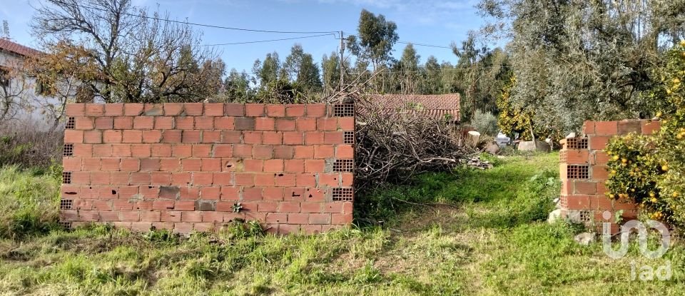 Terrain à bâtir à Alcobertas de 1 280 m²