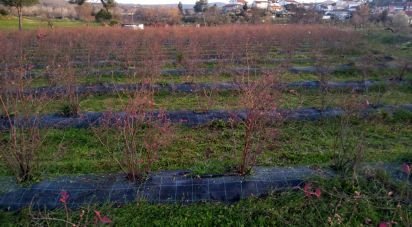 Terrain à Orjais de 13 681 m²