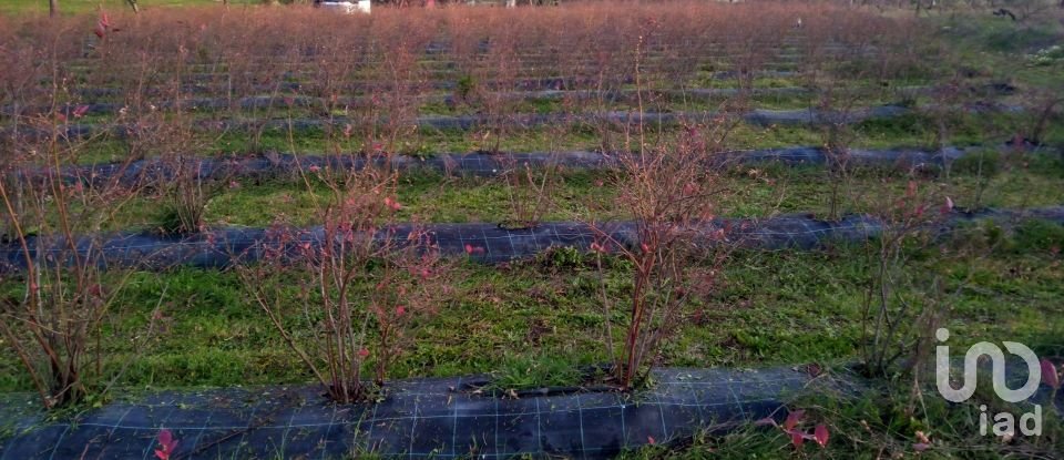 Land in Orjais of 13,681 m²