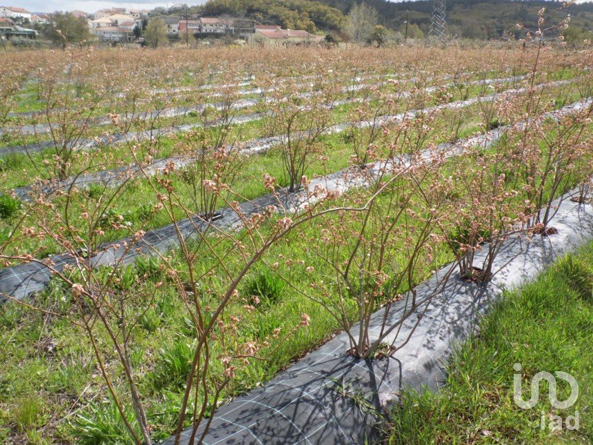 Land in Orjais of 13,681 m²