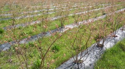 Terrain à Orjais de 13 681 m²