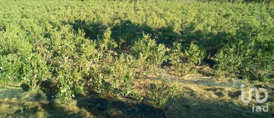 Land in Orjais of 13,681 m²