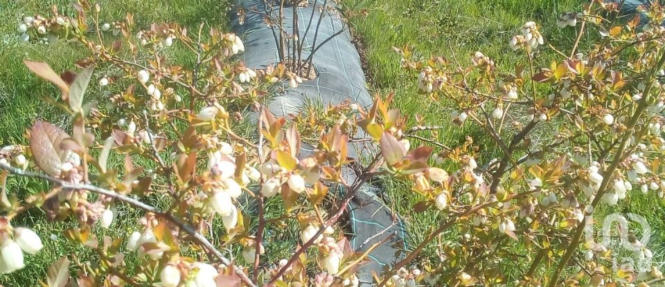 Land in Orjais of 13,681 m²