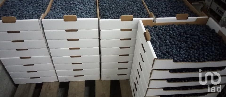 Land in Orjais of 13,681 m²