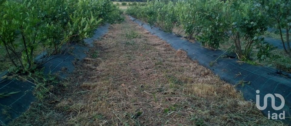 Land in Orjais of 13,681 m²