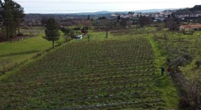 Terrain à Orjais de 13 681 m²