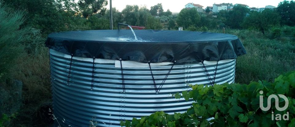 Land in Orjais of 13,681 m²