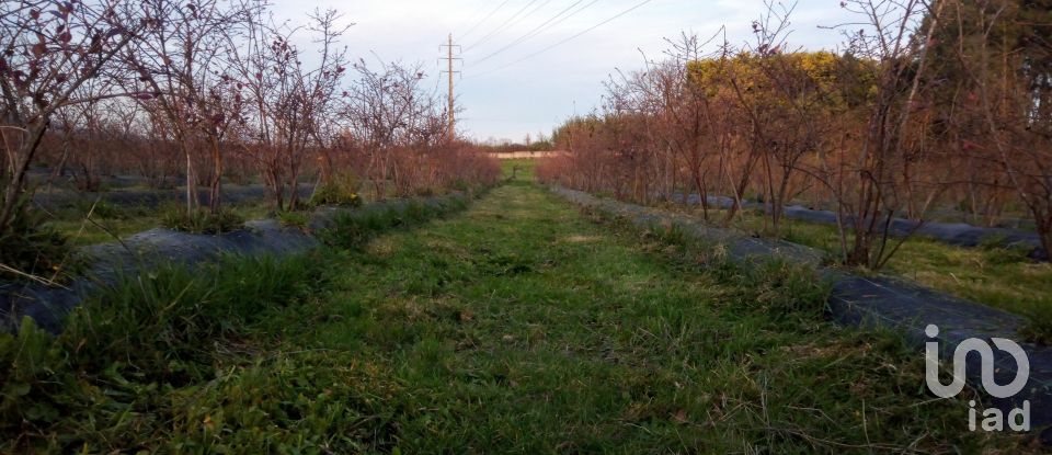 Land in Orjais of 13,681 m²