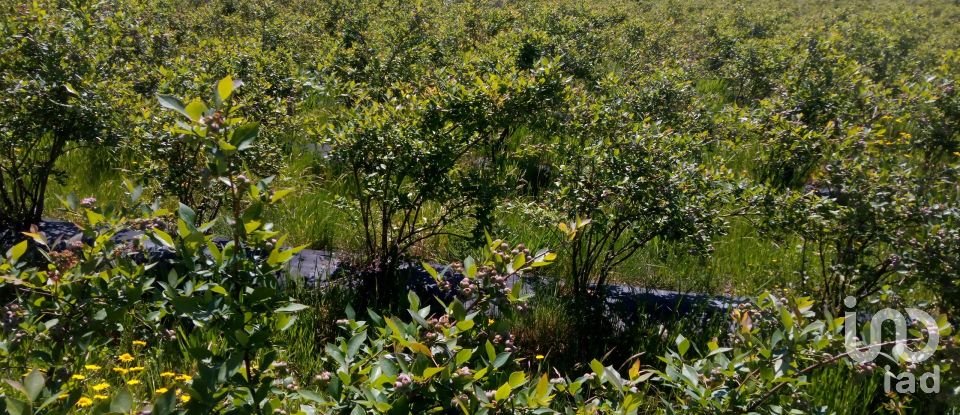 Land in Orjais of 13,681 m²