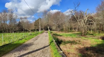 Terreno em Friestas de 6 020 m²