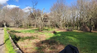 Terreno em Friestas de 6 020 m²