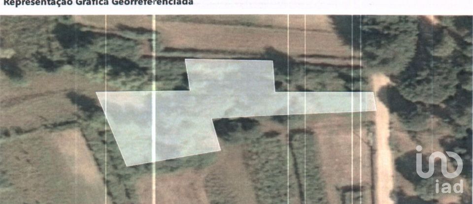 Terreno em Friestas de 6 020 m²