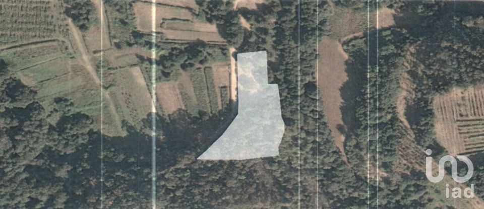 Terreno em Friestas de 6 020 m²