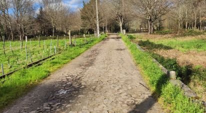 Terreno em Friestas de 6 020 m²