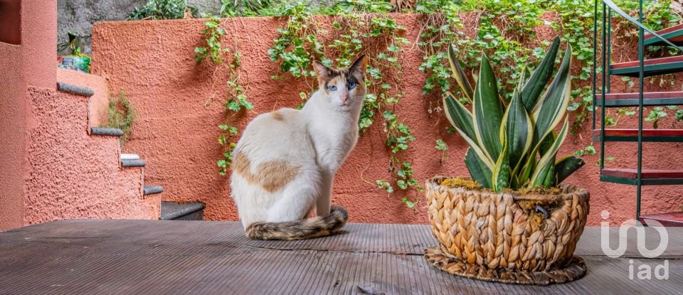 Moradia T4 em Machico de 207 m²