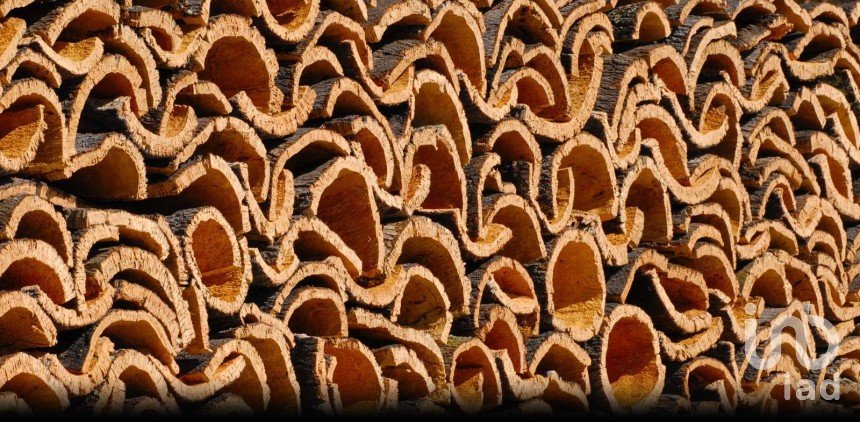 Terrain à Grândola e Santa Margarida da Serra de 4 650 000 m²