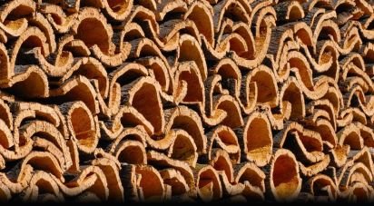 Terrain à Grândola e Santa Margarida da Serra de 4 650 000 m²