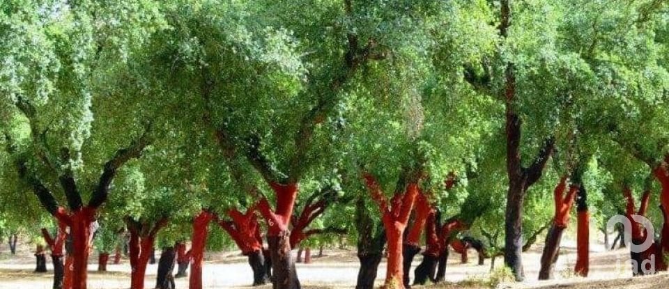 Terrain à Grândola e Santa Margarida da Serra de 4 650 000 m²