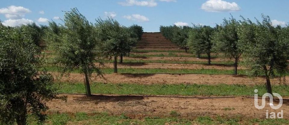 Terrain à Grândola e Santa Margarida da Serra de 4 650 000 m²