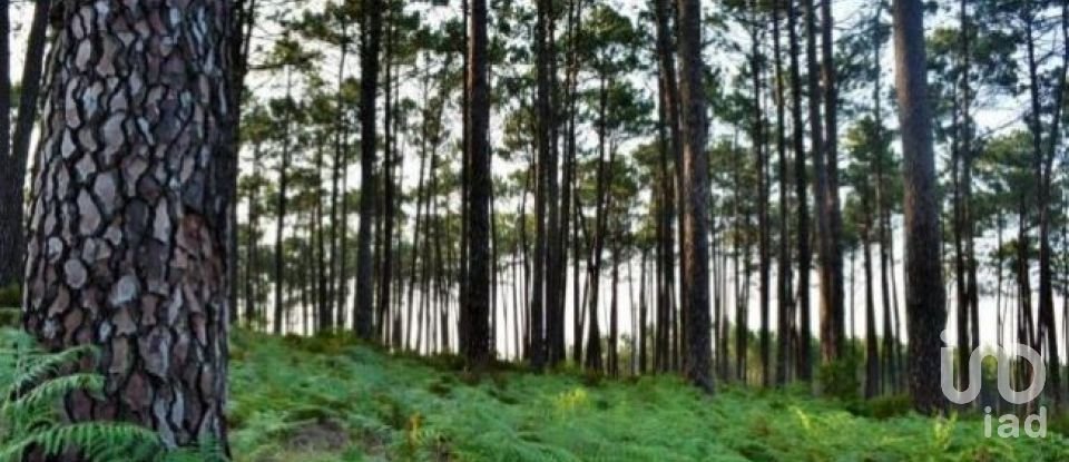 Terrain à Grândola e Santa Margarida da Serra de 4 650 000 m²