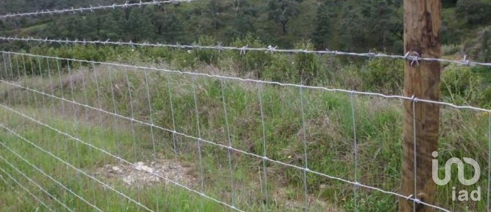 Terrain à Grândola e Santa Margarida da Serra de 4 650 000 m²