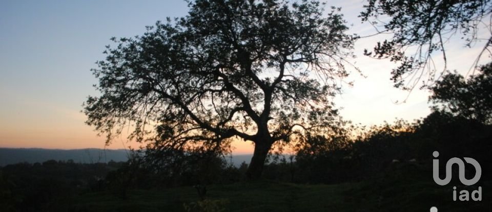 Maison T1 à Querença, Tôr e Benafim de 71 m²