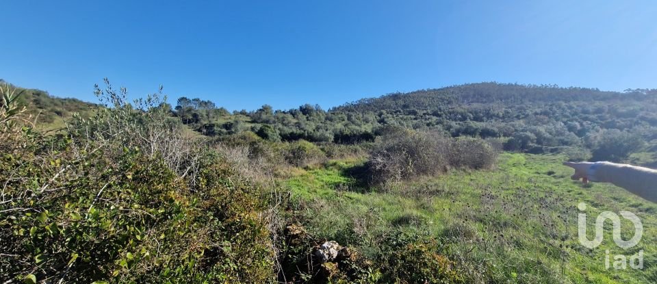 Terreno em Venda do Pinheiro e Santo Estêvão das Galés de 2 125 m²