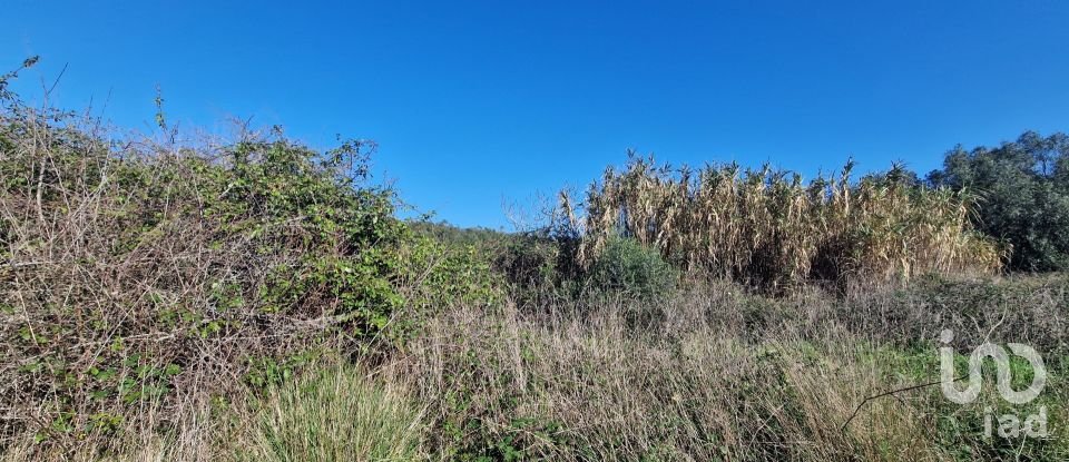 Terreno em Venda do Pinheiro e Santo Estêvão das Galés de 2 125 m²