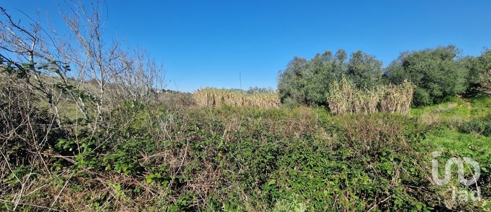 Terreno em Venda do Pinheiro e Santo Estêvão das Galés de 2 125 m²
