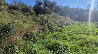 Terrain à Venda do Pinheiro e Santo Estêvão das Galés de 2 125 m²