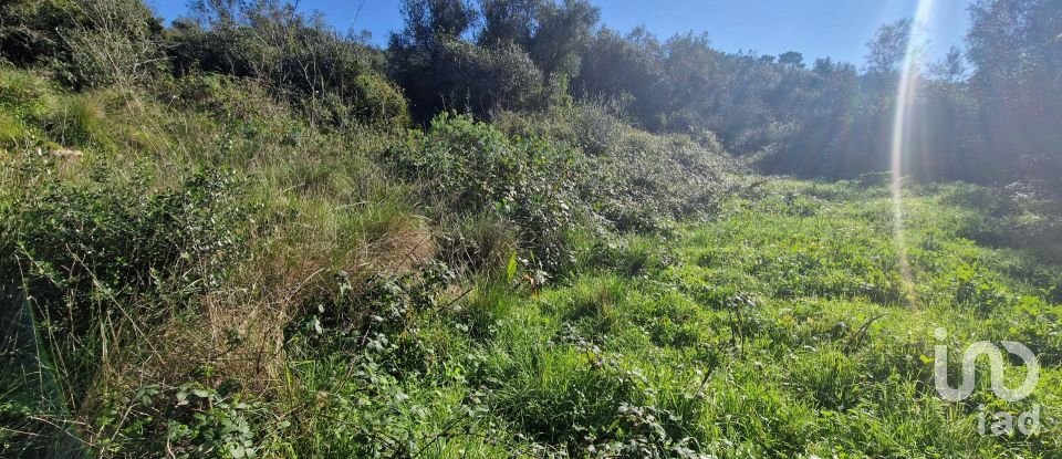 Terreno em Venda do Pinheiro e Santo Estêvão das Galés de 2 125 m²