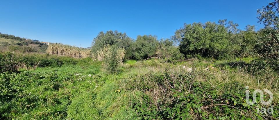 Terreno em Venda do Pinheiro e Santo Estêvão das Galés de 2 125 m²