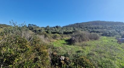 Terrain à Venda do Pinheiro e Santo Estêvão das Galés de 2 125 m²