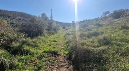 Terrain à Venda do Pinheiro e Santo Estêvão das Galés de 2 125 m²