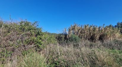 Terrain à Venda do Pinheiro e Santo Estêvão das Galés de 2 125 m²