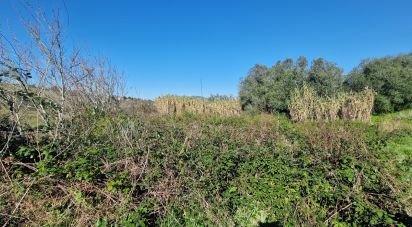 Terrain à Venda do Pinheiro e Santo Estêvão das Galés de 2 125 m²