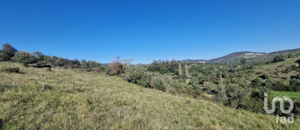 Terrain à Venda do Pinheiro e Santo Estêvão das Galés de 5 375 m²