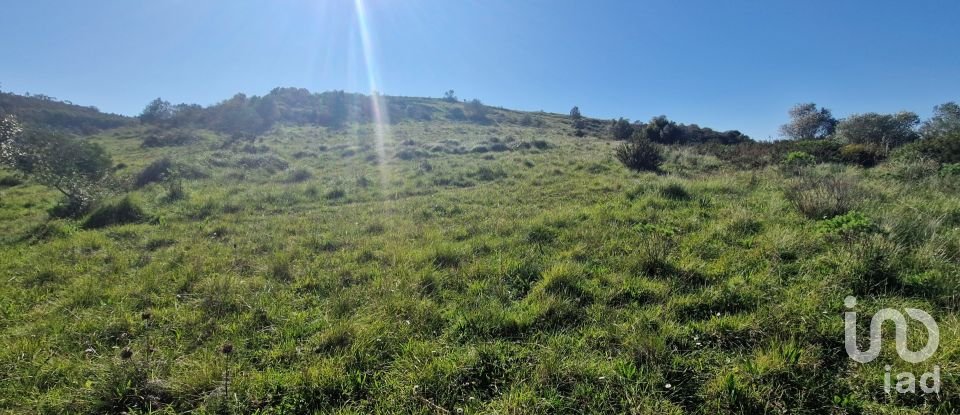 Terrain à Venda do Pinheiro e Santo Estêvão das Galés de 5 375 m²