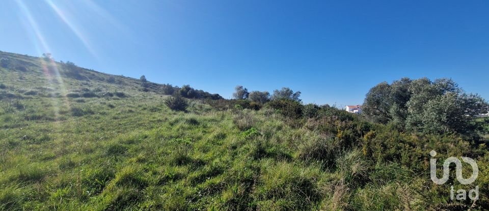 Terrain à Venda do Pinheiro e Santo Estêvão das Galés de 5 375 m²