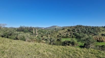 Terrain à Venda do Pinheiro e Santo Estêvão das Galés de 5 375 m²