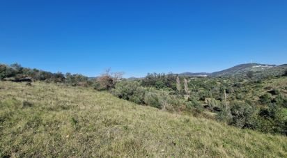 Terrain à Venda do Pinheiro e Santo Estêvão das Galés de 5 375 m²