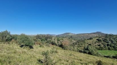 Terrain à Venda do Pinheiro e Santo Estêvão das Galés de 5 375 m²