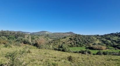 Terrain à Venda do Pinheiro e Santo Estêvão das Galés de 5 375 m²