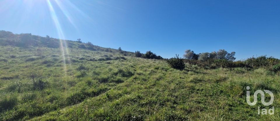Terrain à Venda do Pinheiro e Santo Estêvão das Galés de 5 375 m²