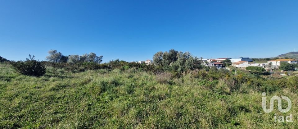Terrain à Venda do Pinheiro e Santo Estêvão das Galés de 5 375 m²