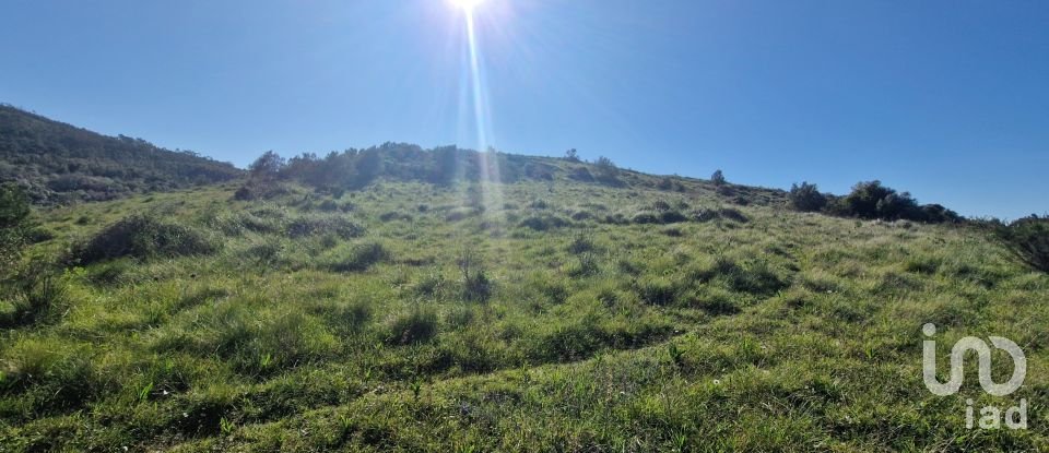 Terrain à Venda do Pinheiro e Santo Estêvão das Galés de 5 375 m²