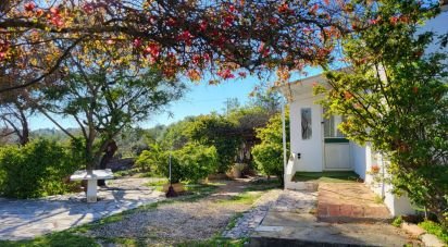 Country home T3 in Tavira (Santa Maria e Santiago) of 180 m²